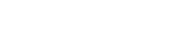 Flomaxio logo