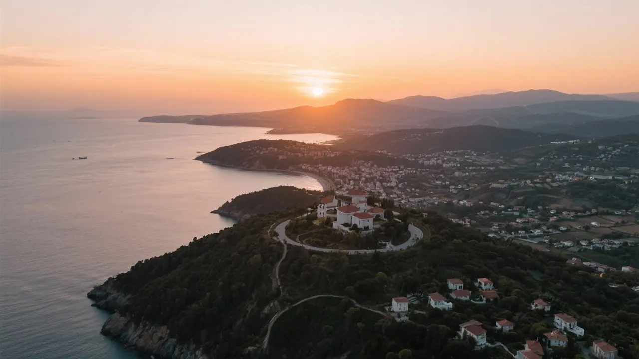 Discovering the Magic of Zap Ilicinea