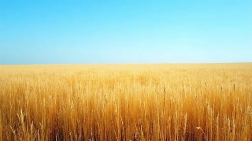 Understanding the Role of Prairie Adjusters