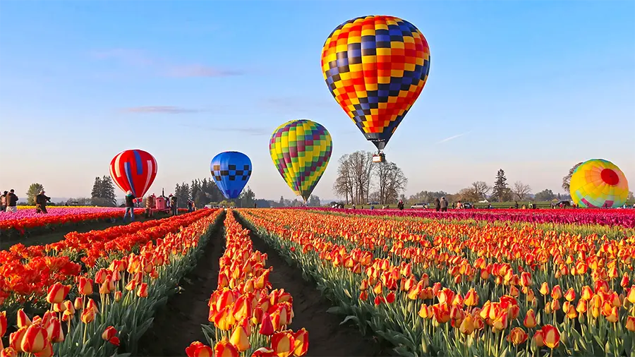 Top 20 Enthralling Historical Landmarks You Must Explore