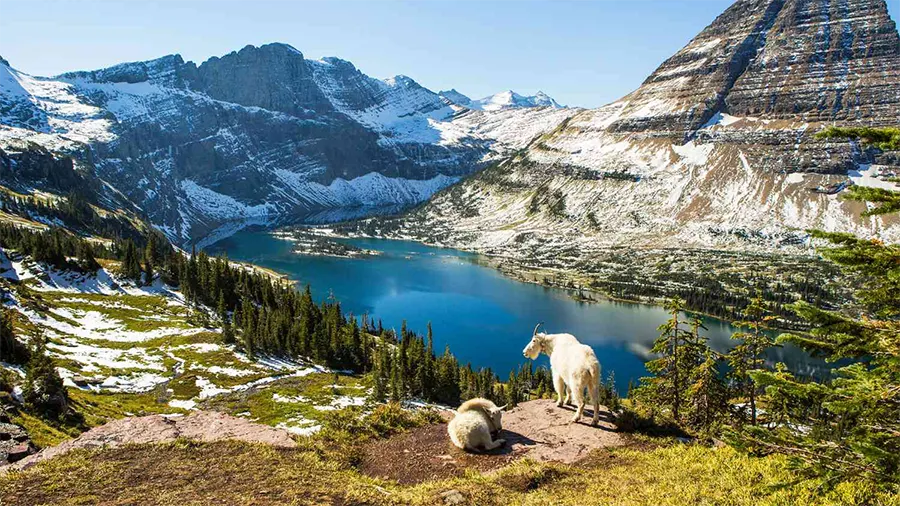 Discover the 10 Very Breathtaking National Parks for Your Next Adventure