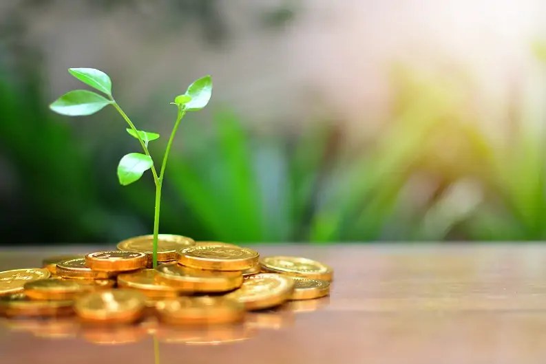 Maximizing Wealth: A Guide to Gold Investment and Prices